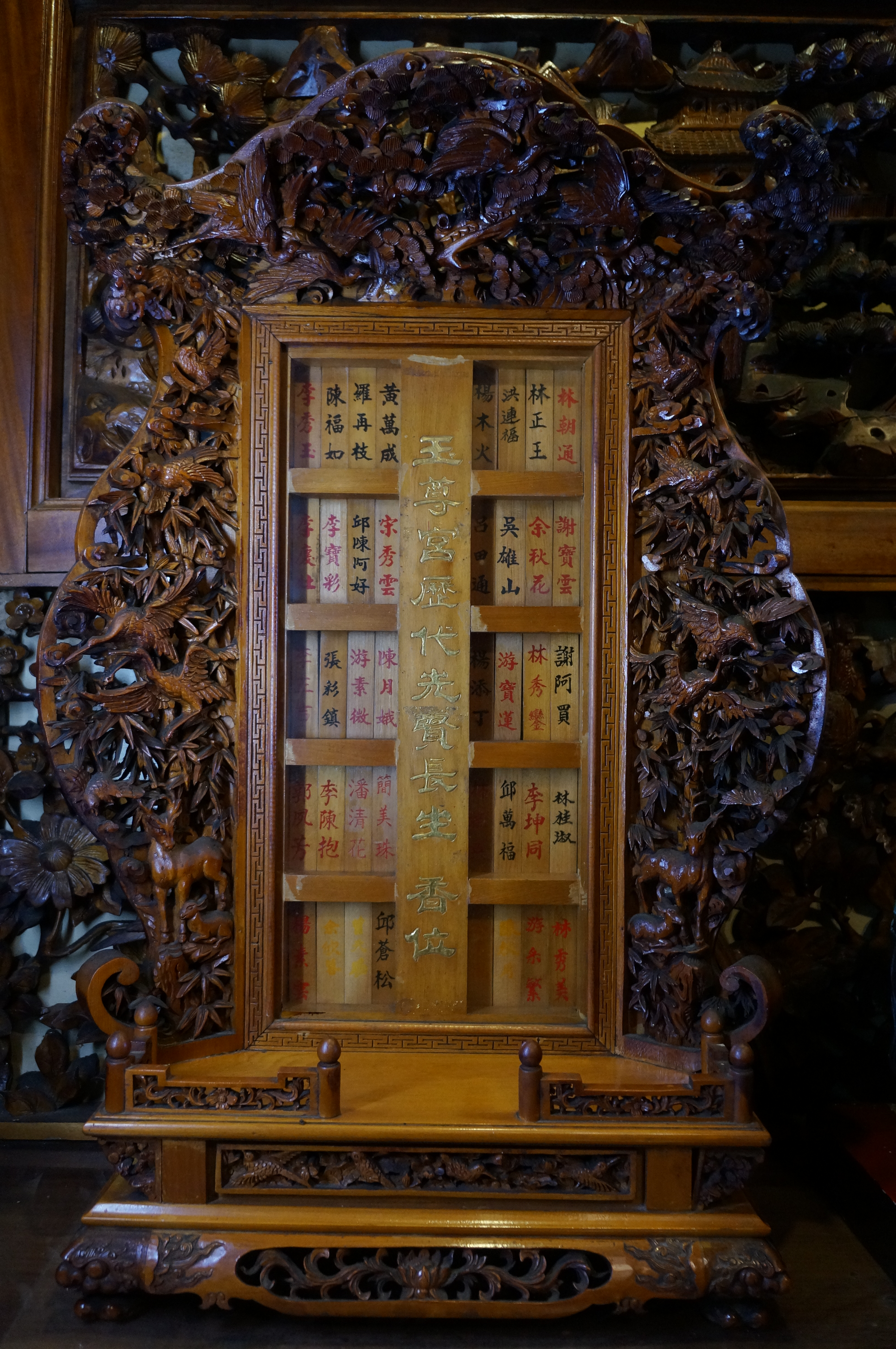 ���͸S�����